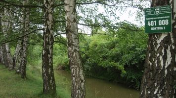 Rokytka 1-tok-3.7.12 (1).JPG